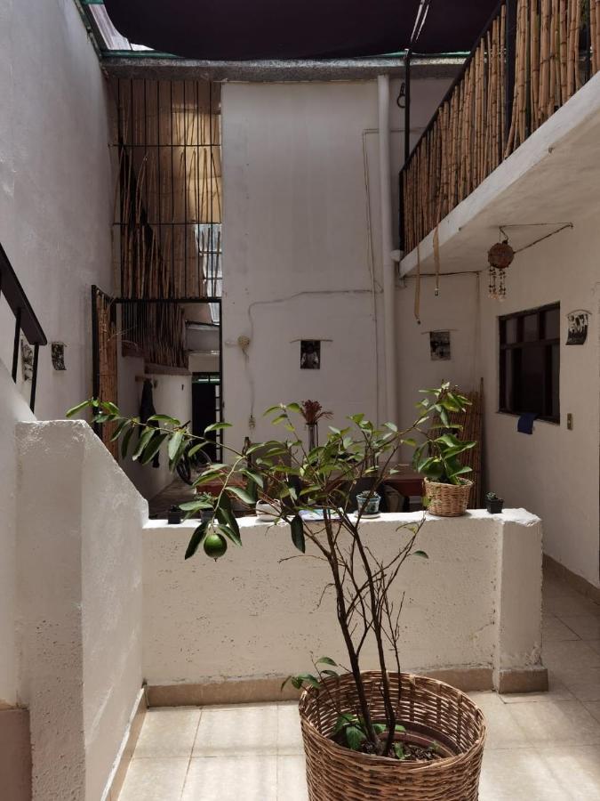 מלון San Cristóbal de Las Casas El Rinconcito De San Cris מראה חיצוני תמונה
